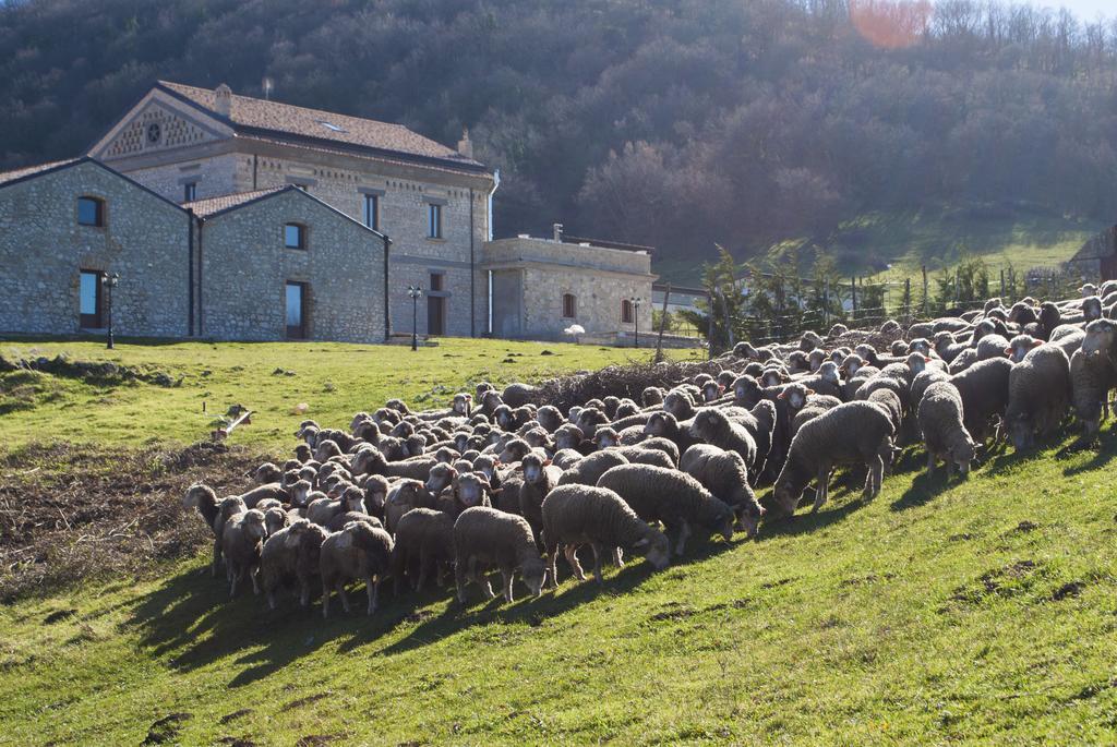 Masseria Salecchia Bovino Bagian luar foto